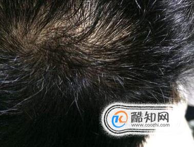 ��α���Լ���ͷ���������ַ��ʣ�����